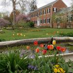 Chatham Manor
