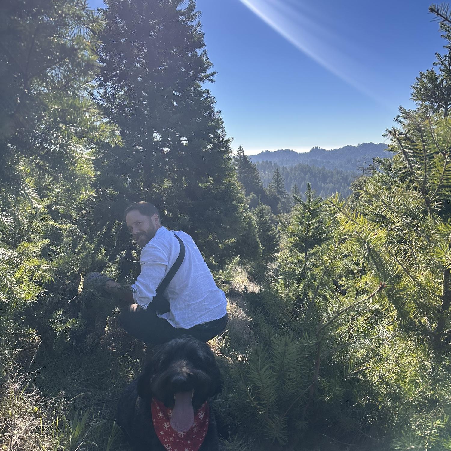 Christmas tree 2025! December 2025