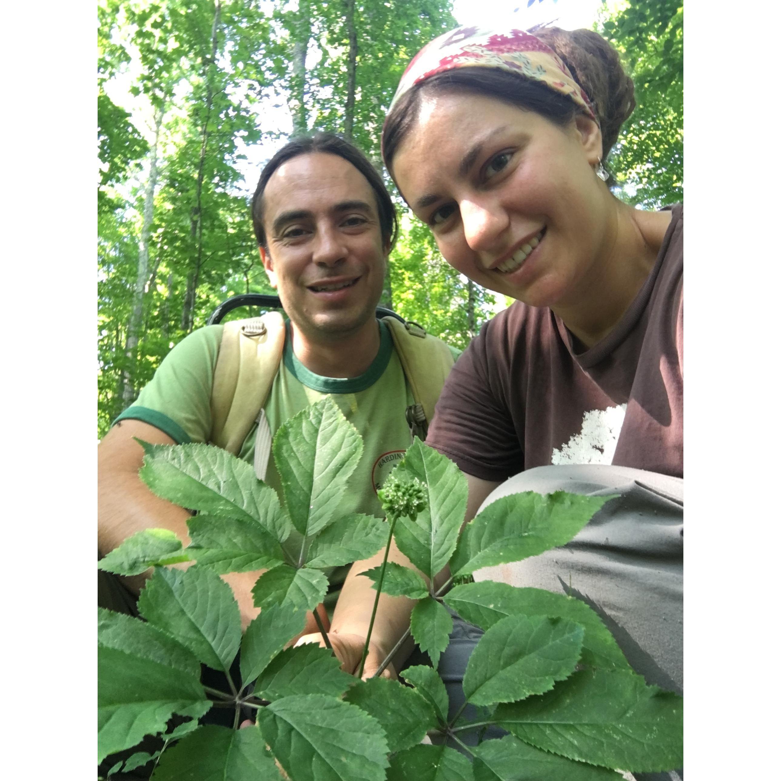 We have managed a forest farm together for four years now, where we grow primarily American Ginseng