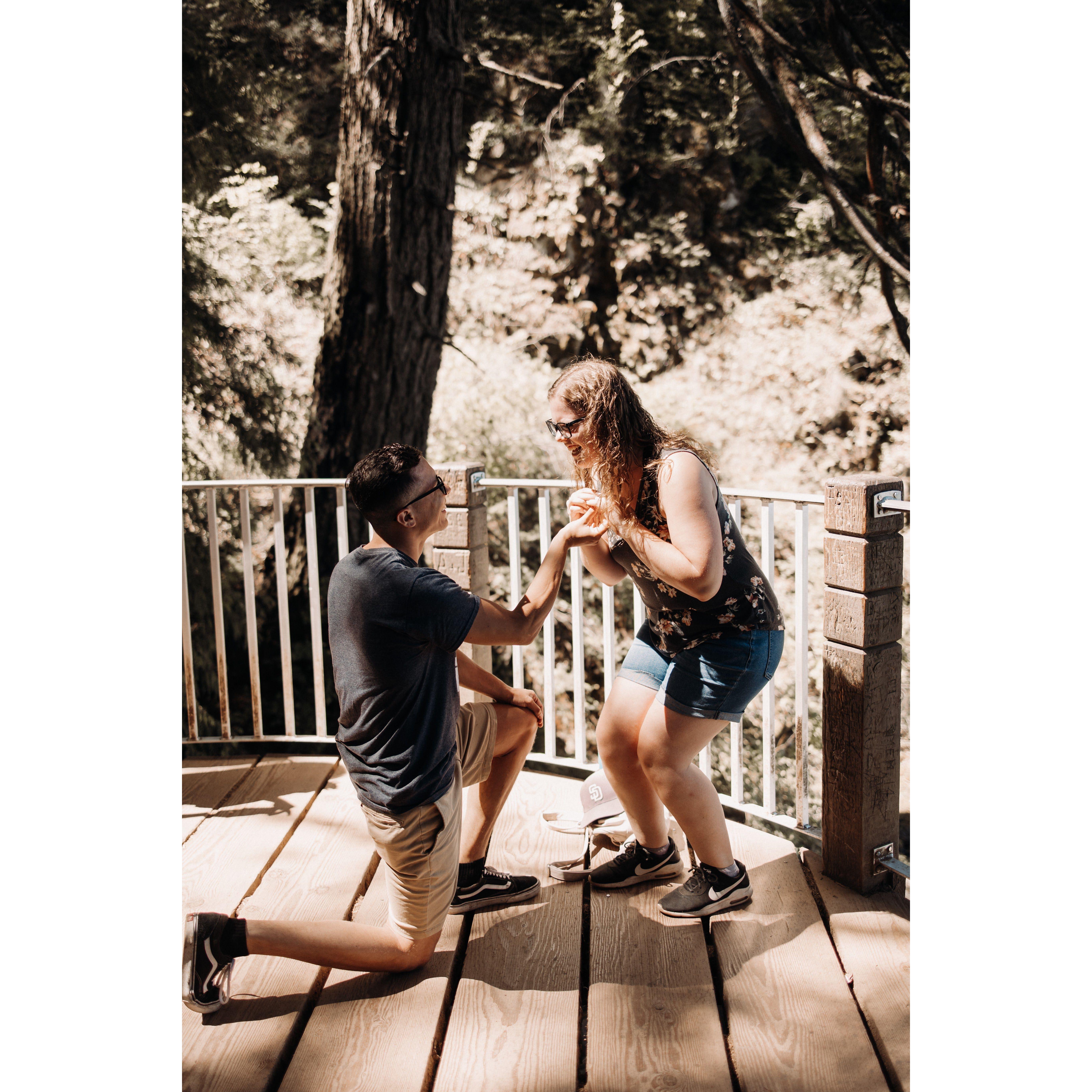 Engagement photos around Multnomah Falls- 2023