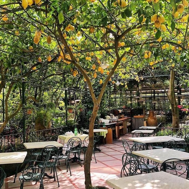 Honeymoon stop #2: Lunch under the lemon trees
