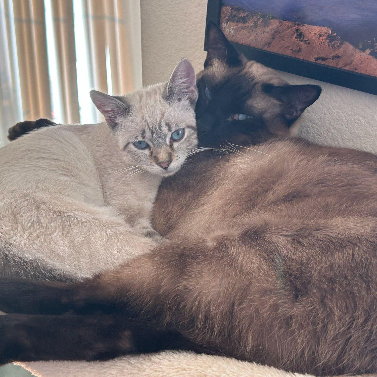 Strider & Wynnie are best friends! : )