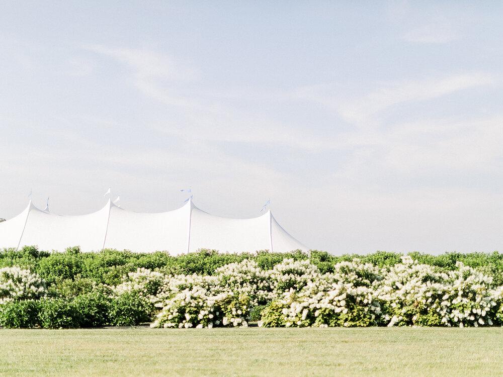 The Wedding Website of Paulina Karpis and Dennis London