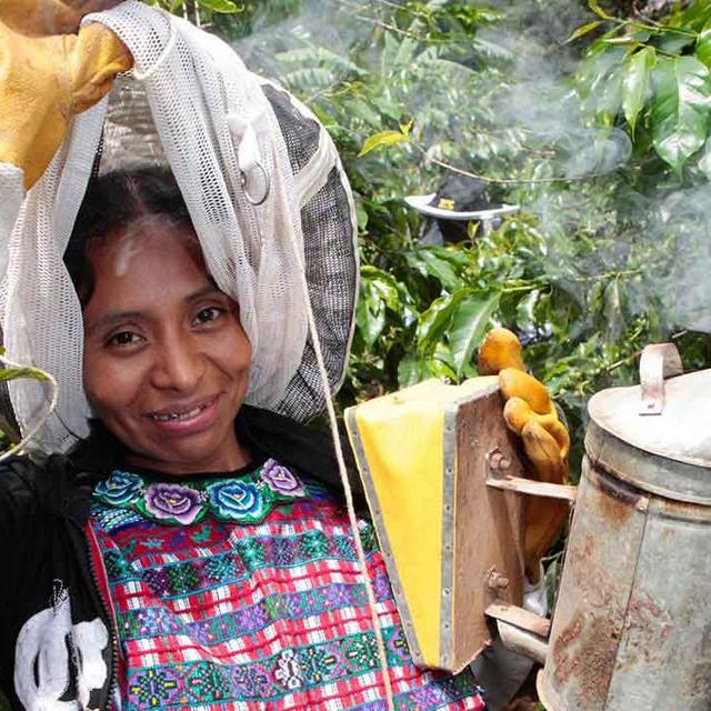 Heifer International Donation: Give the gift of honeybees