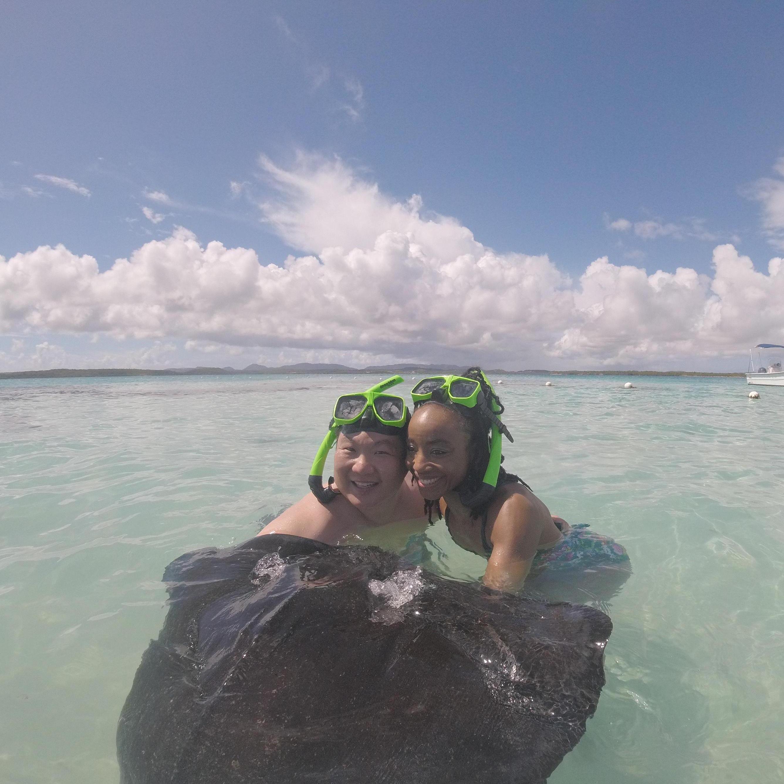 Stingrays in Stingray City, Antigua... at first we were scared, the mesmerized, then in love.