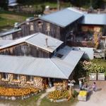 Pond Hill Farm