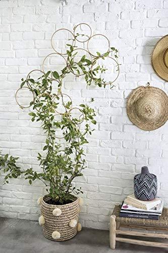 RISEON Boho Vintage DIY 13 PCS Bamboo Wall Trellis Set,Minimalist Plant Display Vertical Garden for Climbing Plants Potted Vines Vegetables Vining Flowers