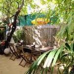 Surf Bar