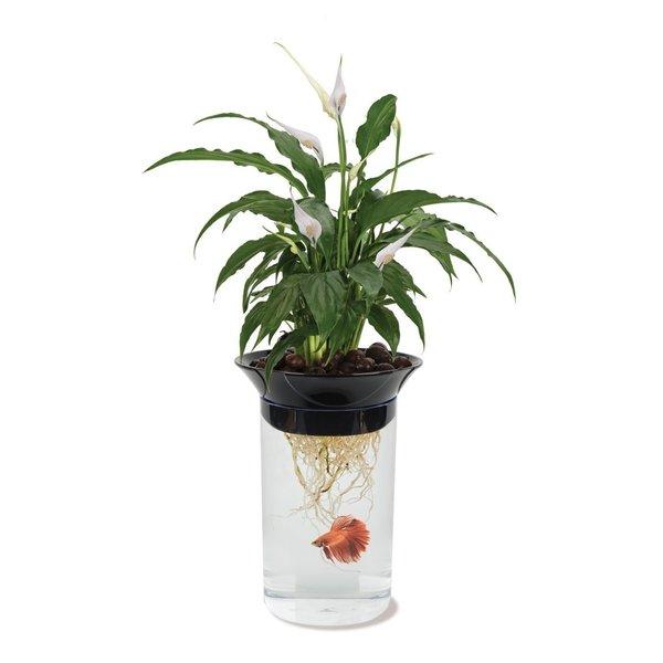 1.4 Gallon Aqua Ponic Planter and Fish Habitat Aquarium Bowl