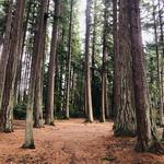 Kitsap Memorial State Park