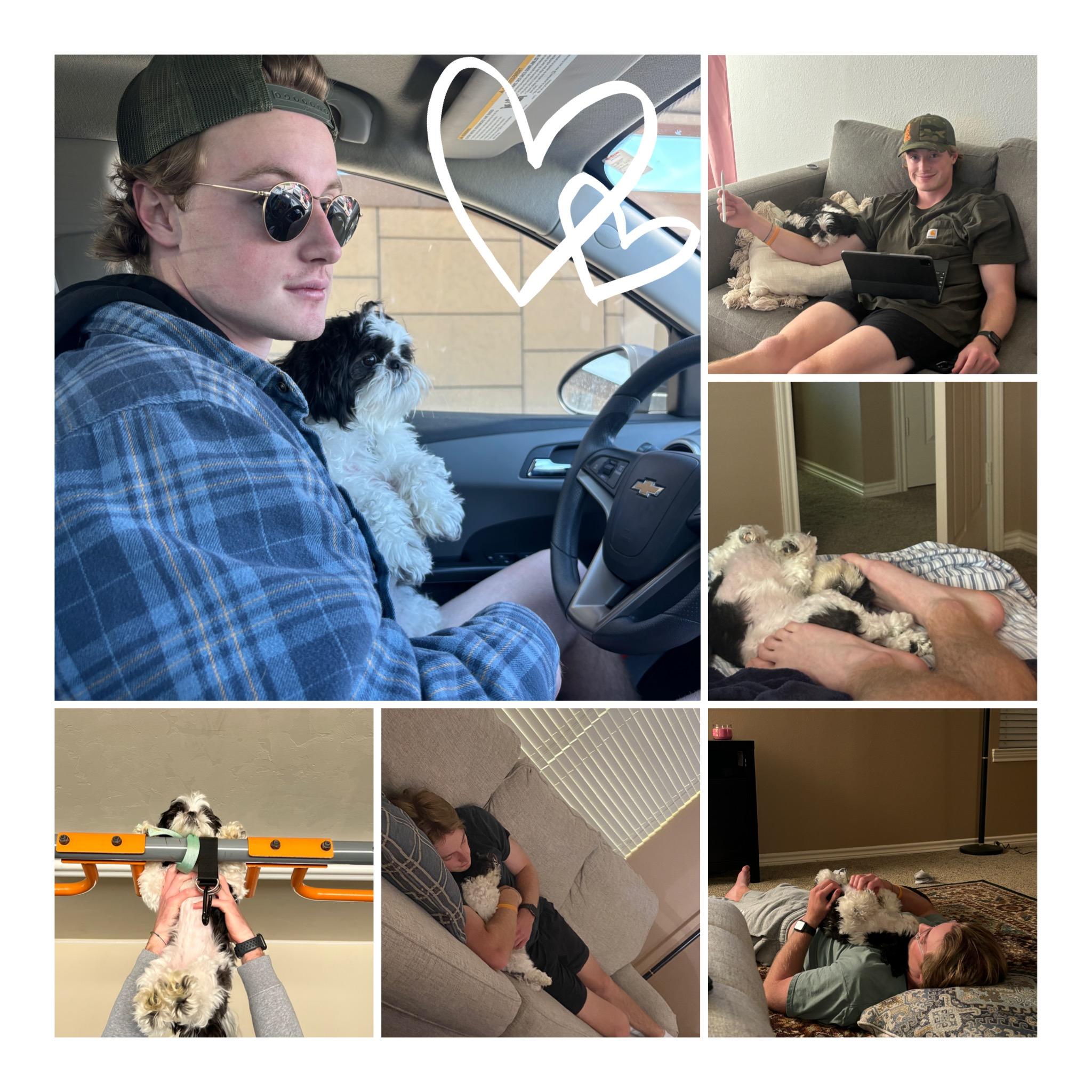 Wynter is Taylor's dog, but is soon to be Hobie's too!