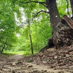 Hiking on Black River Preserve