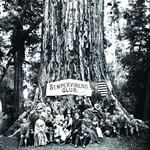 Big Basin Redwoods State Park
