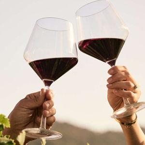 Schott Zwiesel Tour 24-Oz. Red Wine Glasses, Set of 6