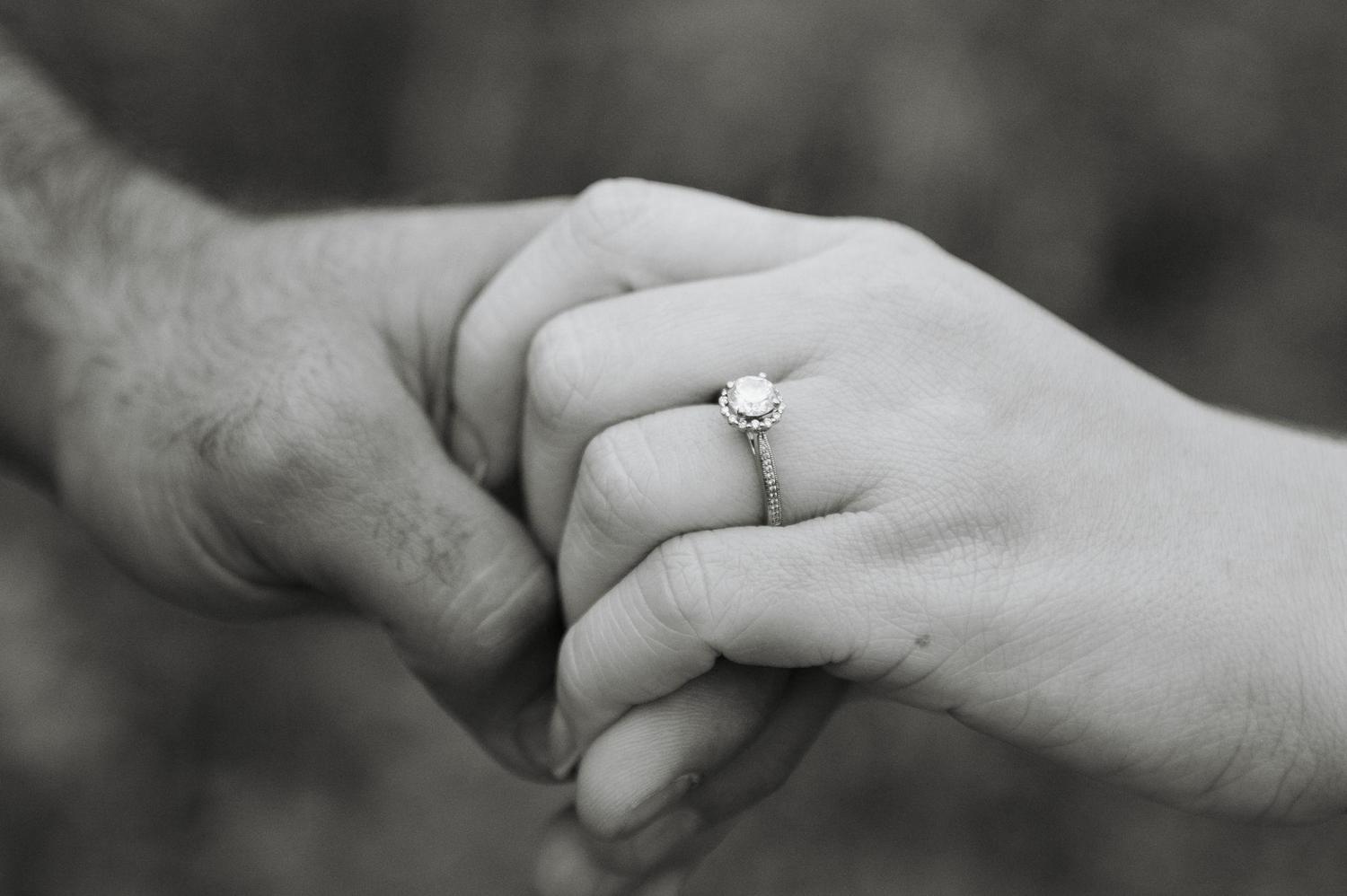 The Wedding Website of Sydney Nemec and Michael Meyers