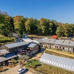 Pond Hill Farm