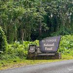 El Yunque National Forest
