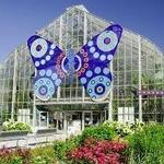 Krohn Conservatory