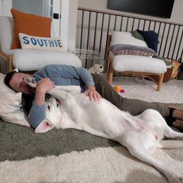 Our Dog Fund
