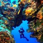 Scuba diving