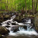 Cunningham Falls State Park