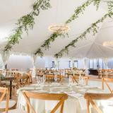 The Reception