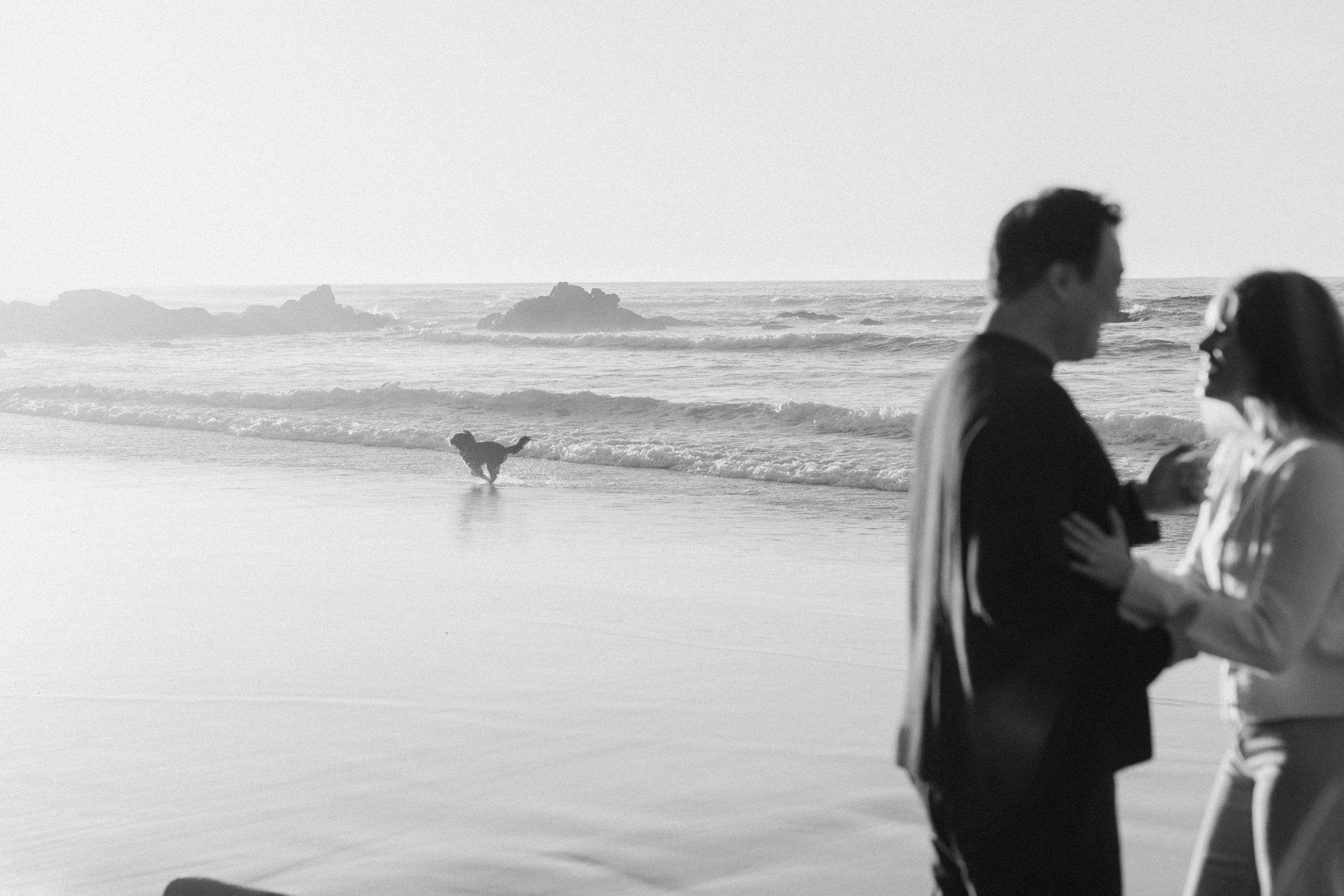 The Wedding Website of Kelsey Gonzales and Steven Yao