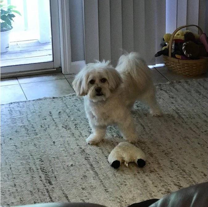 Gwedo fresh out of the bath