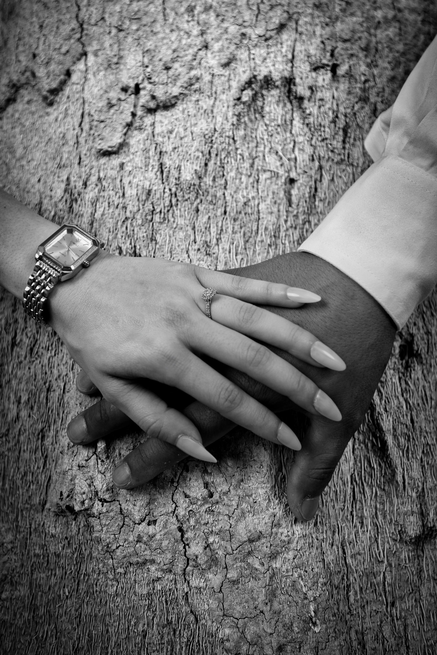 The Wedding Website of Briana Vasquez and Bernardo Mata