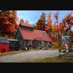 Maple Sugar & Vermont Spice