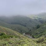 Mount Tamalpais