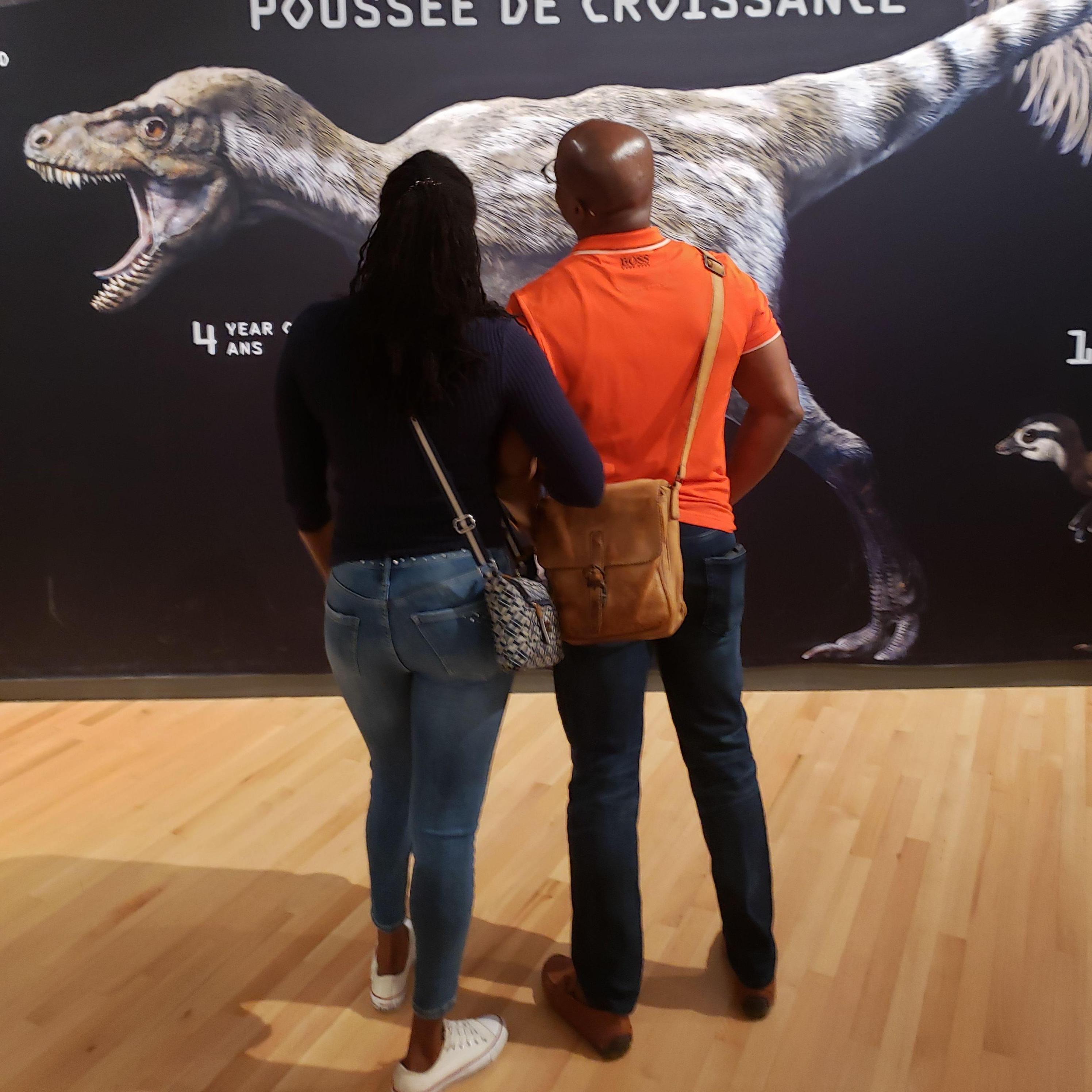 Night at the museum