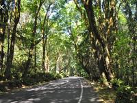 Point Defiance Park