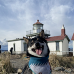 Discovery Park