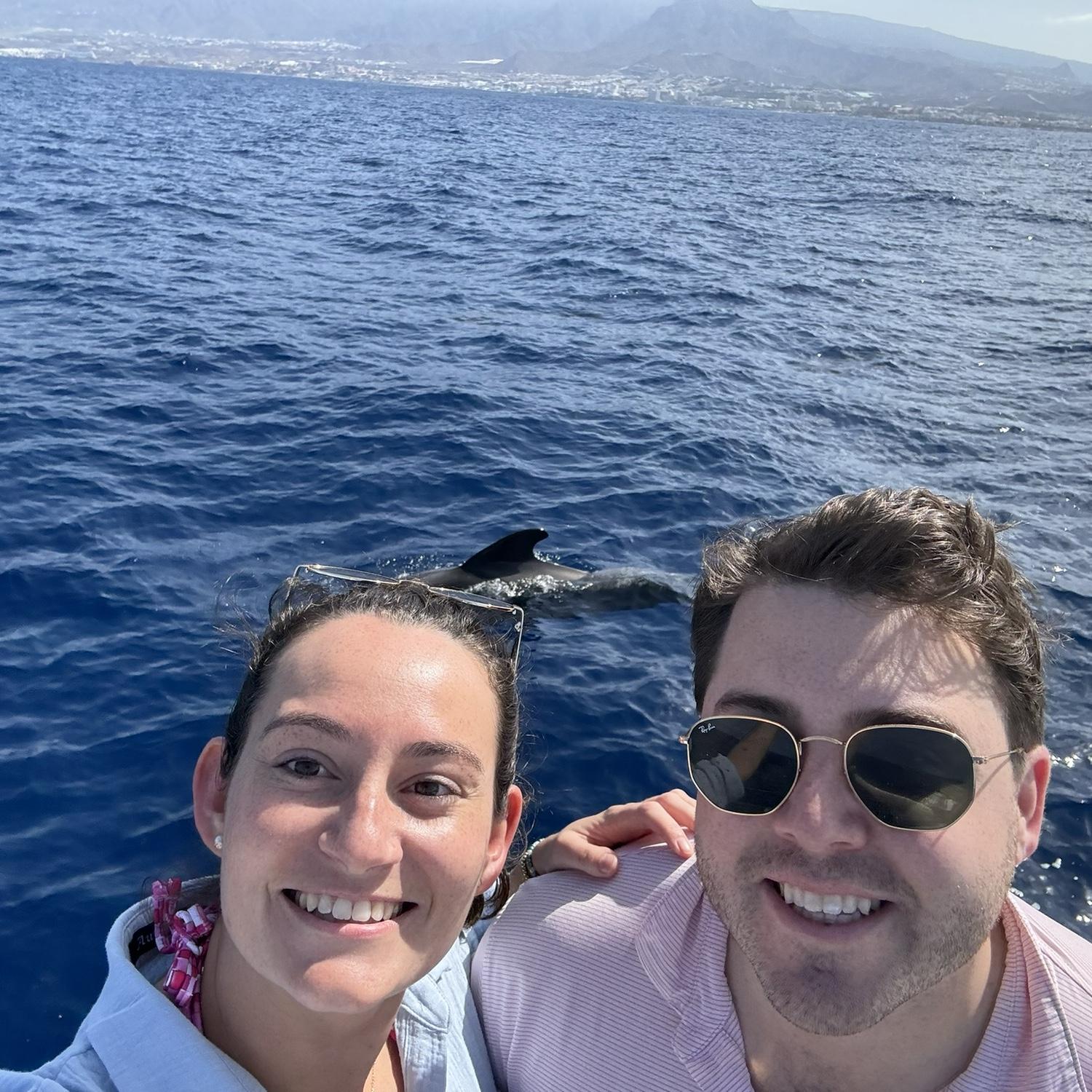 Whale watching in Canary Islands, 2024