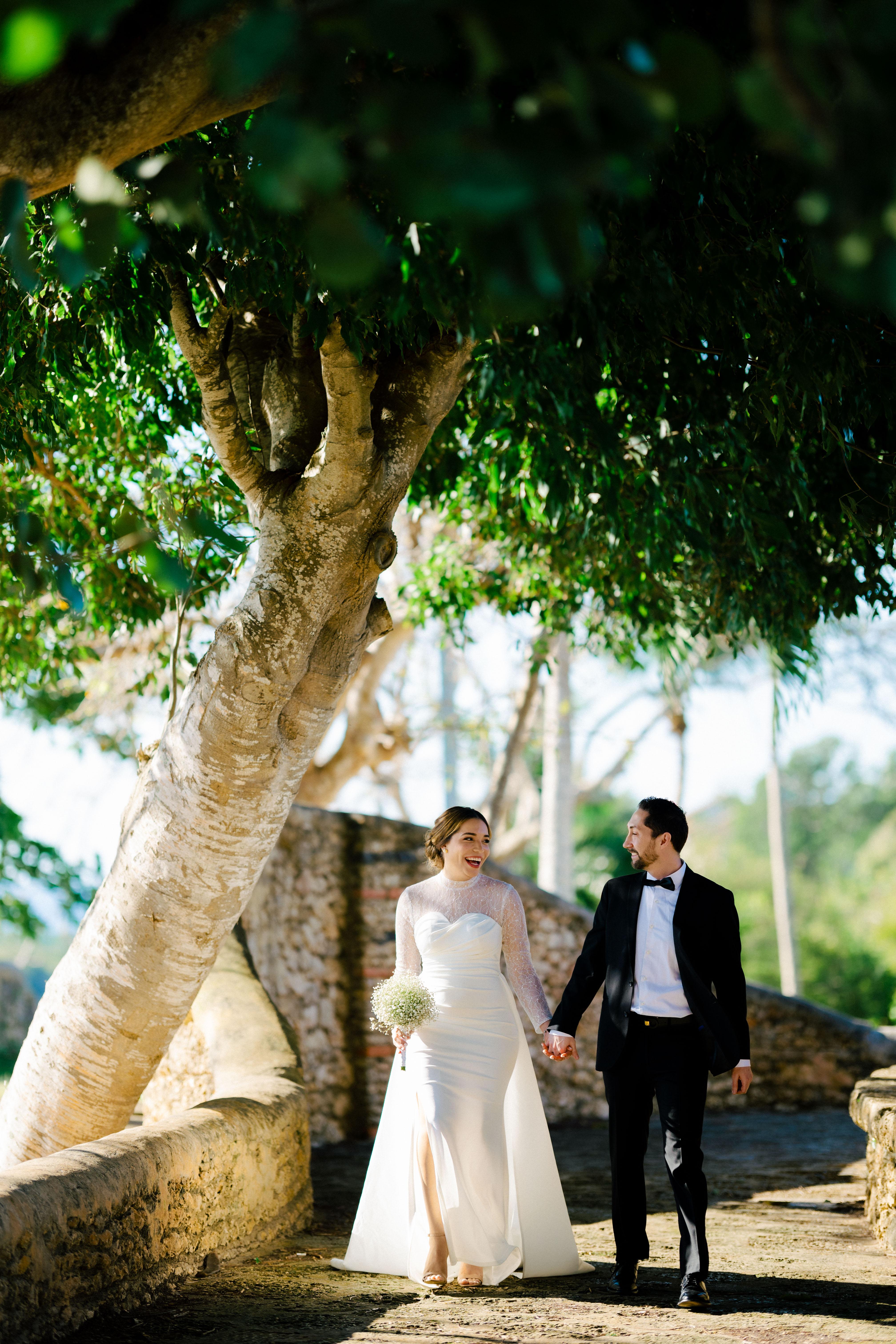 The Wedding Website of Theodore D'Alessio and Maciel Castro U.