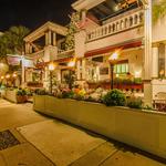 🌙 Nightlife & Entertainment - The Tini Martini Bar