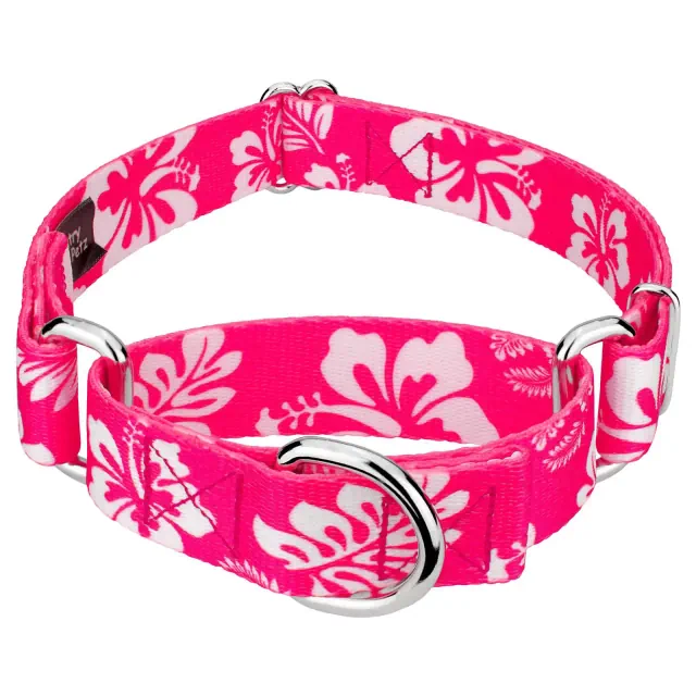 Country Brook Petz Pink Hawaiian Martingale Dog Collar