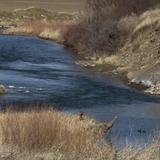 Musselshell River