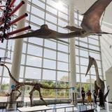 Science Museum of Minnesota