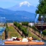 Stave & Stone Winery (Winery at the Vineyard)
