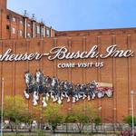 Budweiser Brewery Experience