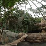 Tulsa Zoo