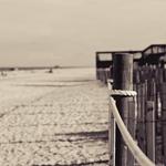 Mickler's Landing