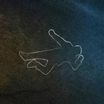 Murder at the Lost Coast: A Murder Mystery Dinner Party