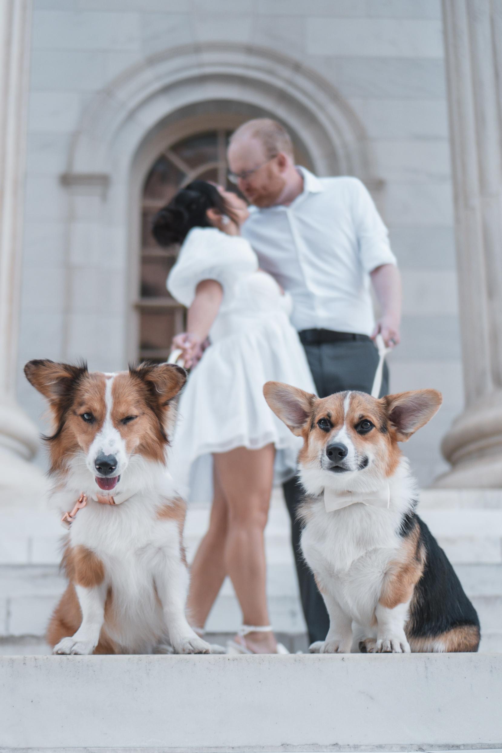 The Wedding Website of Ayumi Matsunami and Daniel Canton