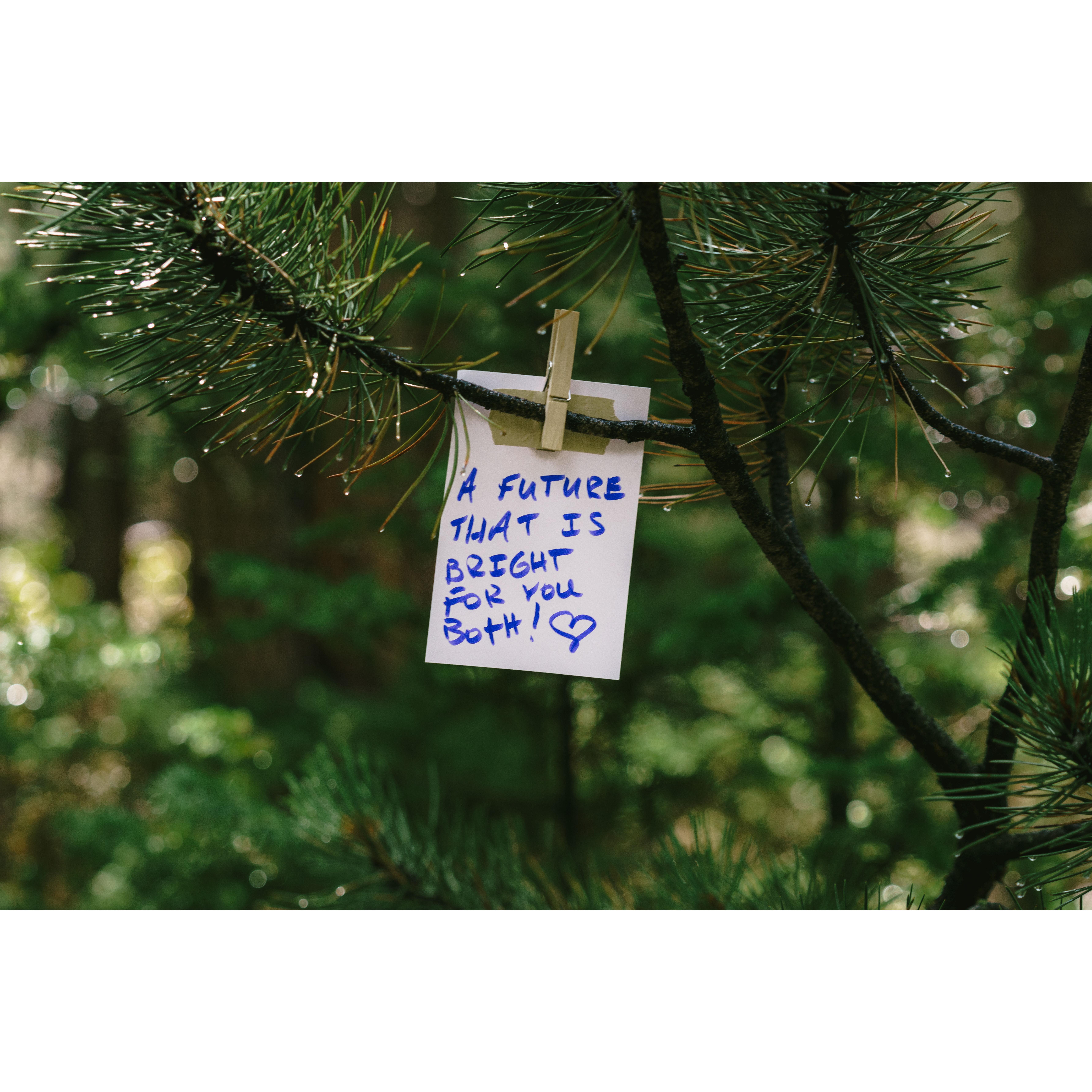 Notes left on the way to the ceremony