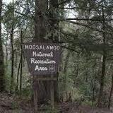 Moosalamoo National Recreation Area