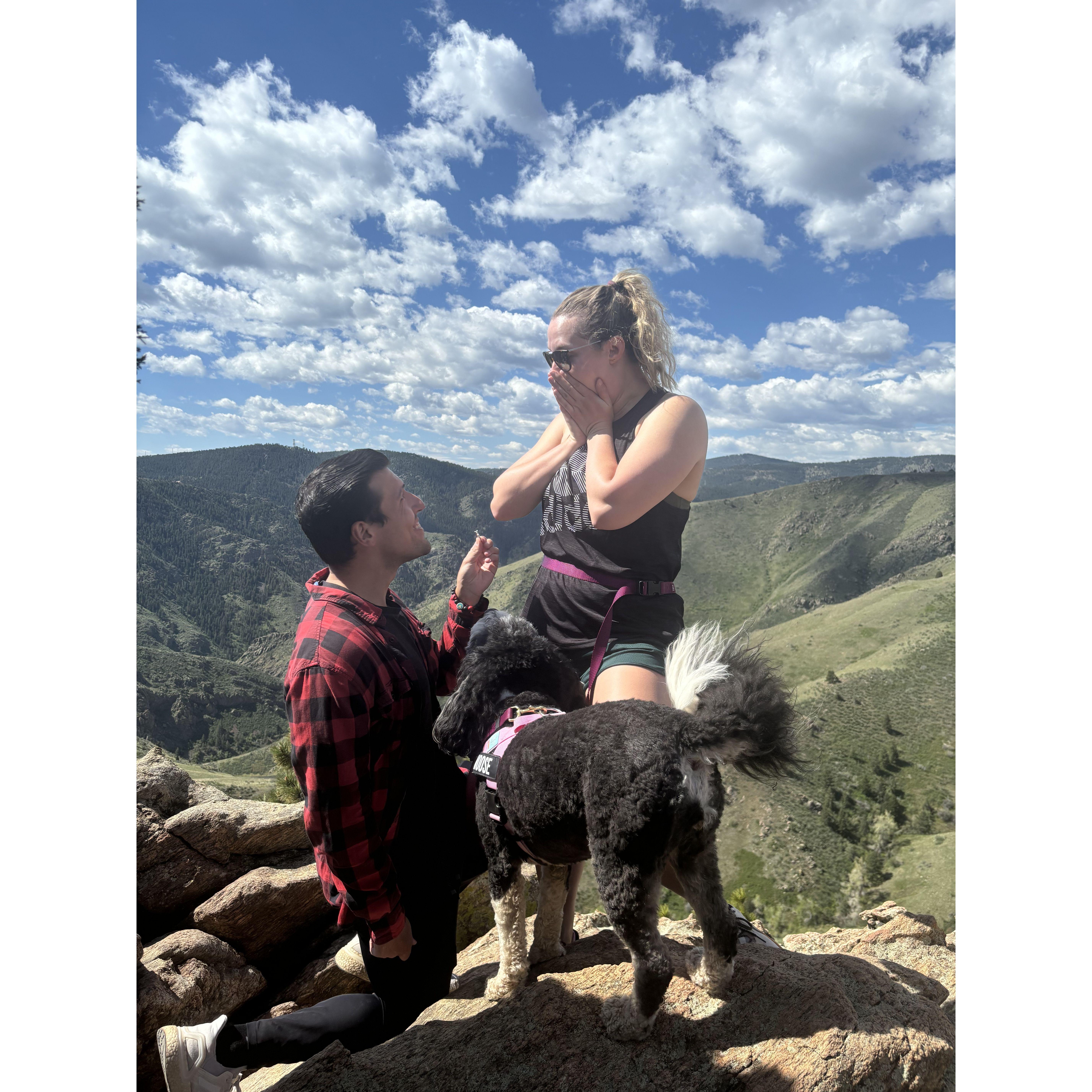 When the ring came out. Our friends were in on it, and caught the most epic candid photos and video of the whole thing.