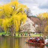 Public Garden
